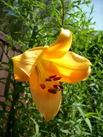 DSCI2870.webp