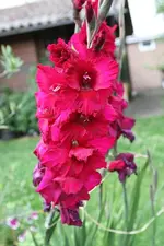 G-IMG_2827.webp