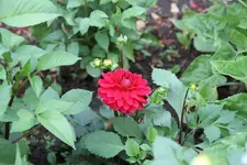 IMG_2844.webp