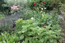 IMG_2856.webp