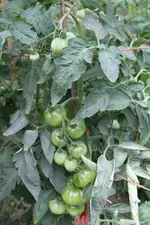 M-IMG_2877.webp
