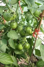 J-B-T--IMG_2885.webp