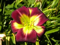 DSCN9087.webp
