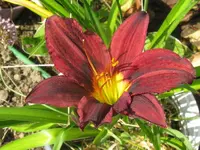 namenlos_1024x768.webp