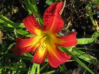 6988 spieder_1024x768.webp