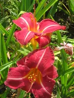 sierra madre3_576x768.webp