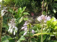 045_1024x768.webp
