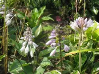 046_1024x768.webp
