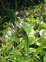 049_576x768.webp