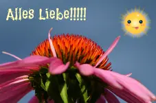 geburtstag!!!.webp
