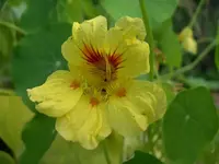 IMGP6806.webp
