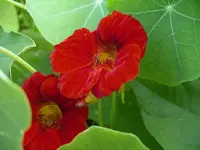 IMGP6803.webp
