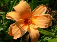 k-DSCI2872.webp