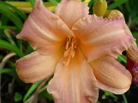 k-DSCI2874.webp