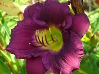 k-DSCI2879.webp