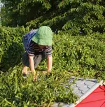 P7106329_verbotene_Kletterei.webp