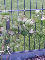 20140723_205326.webp