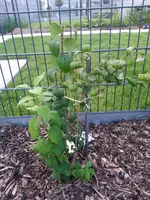 20140723_205319.webp