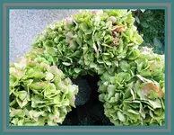 004.webp