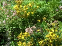 SAM_5056.webp