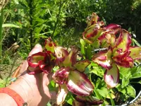 028_1024x768.webp