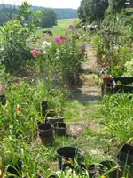 025_576x768.webp
