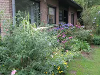 P802002420100802_24.webp