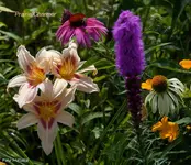 IMG_3862.webp