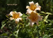 IMG_3863.webp