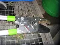 CIMG3125.webp