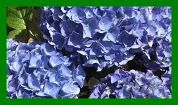 165.webp
