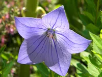 DSCN9126.webp