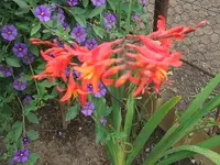 004.webp