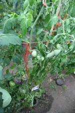 A-IMG_2927.webp A-IMG_2927.webp