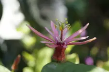 _DSC6548.webp