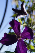 _DSC6554.webp