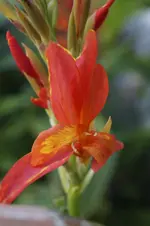 _DSC6553.webp