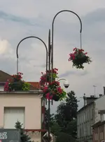 008.webp
