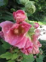 022.webp
