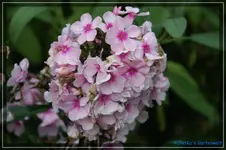 comp_DSC02097.webp