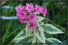 comp_DSC02099.webp