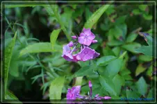 comp_DSC02100.webp