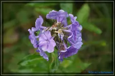 comp_DSC02102.webp