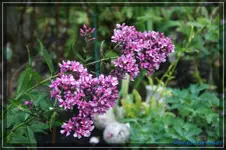 comp_DSC02104.webp