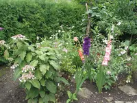 006.webp