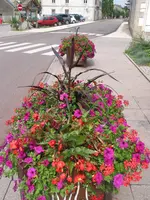 003.webp