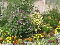 005.webp