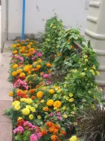 010.webp