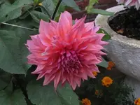 Bild 884.webp