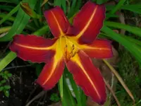 k-DSCI2883.webp